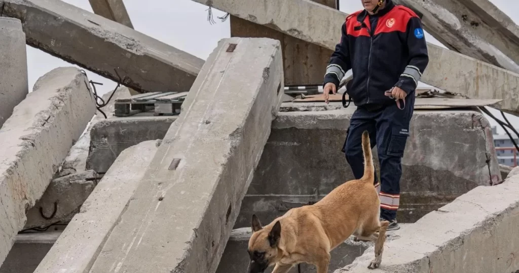 İki kardeş afetlerde mucize yaratıyor