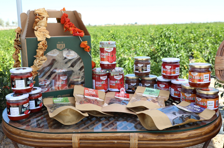 Binlerce yıllık Ata tohumları Karatay’da hayat buluyor