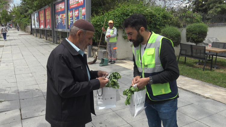 Malatya’da vatandaşlara ücretsiz fide dağıttı