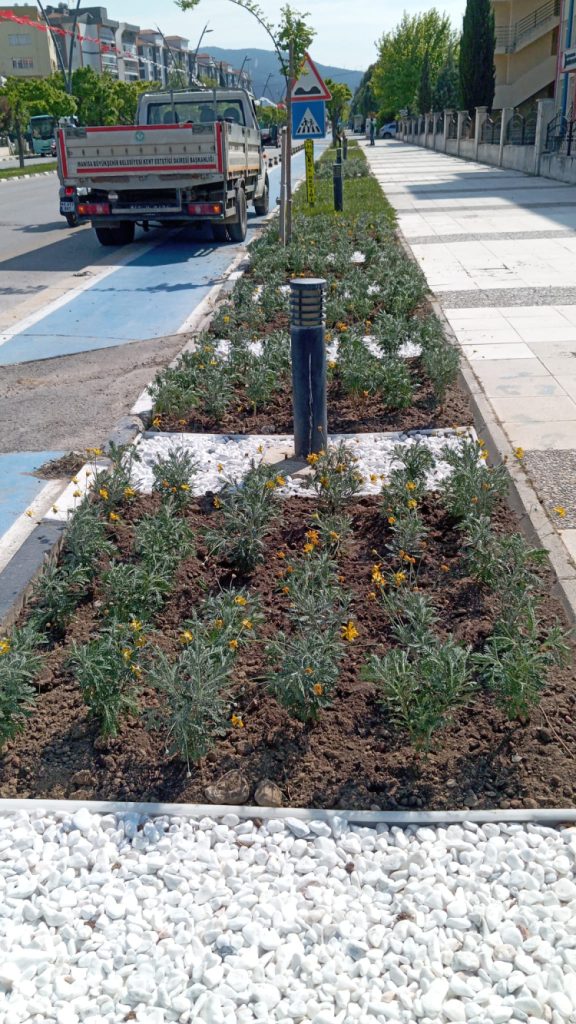 Manisa’da yeşil alanlara estetik dokunuş