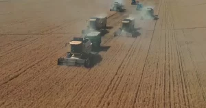 Şanlıurfa Ceylanpınar’da yılın ilk hasadı