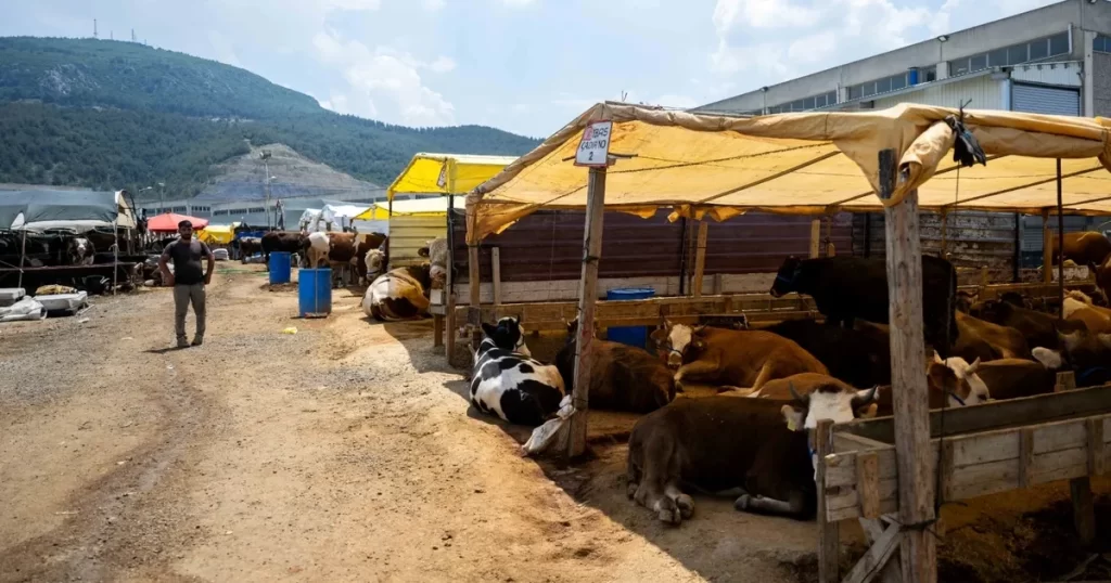 İzmir Bornova’da Kurban Pazarı kapılarını açtı
