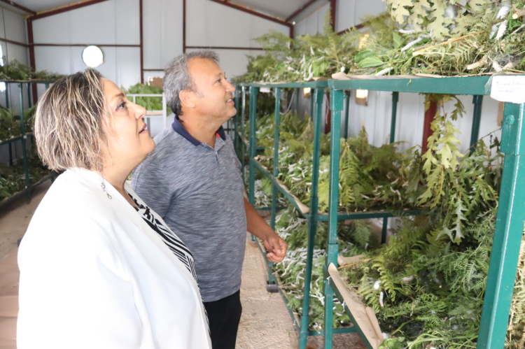 Kocaeli İzmit’te genç girişimcilere destek