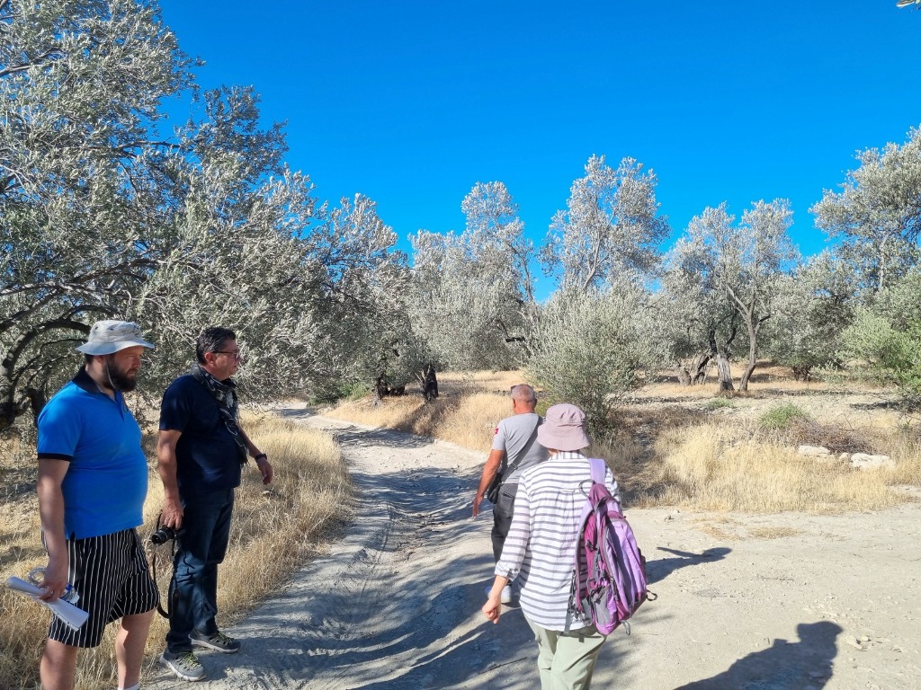 Ayvalık’ta Zeytin Yollarının İzinde: Endüstri Mirası Araştırılıyor