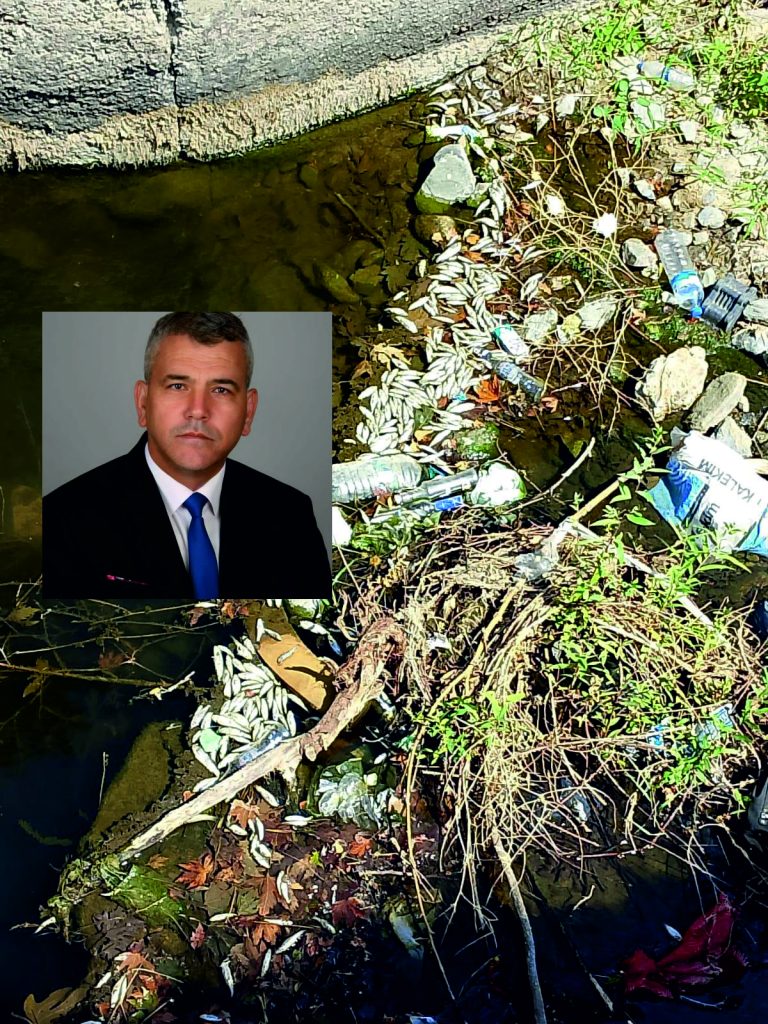 Güre Mahallesi’nde Akan Çayı’nda Balık Katliamı