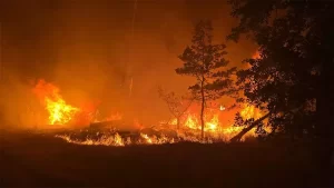 Çanakkale’de Orman Yangınında 348 Vatandaş Kurtarıldı – Sahil Güvenlik Alarmdaydı