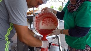 Ayvalık’ta Salça Zamanı Başlıyor!