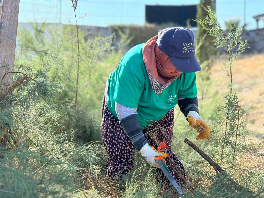 Ayvalık’ta Minikler İçin Temiz Bir Eğitim Yılı Hazırlığı