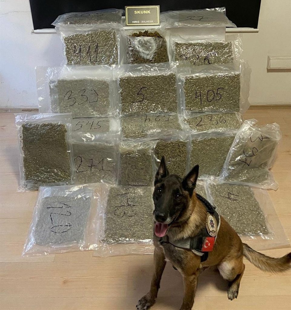 Balıkesir’de Uyuşturucu Operasyonu: 12 Kilo Skunk Yakalandı