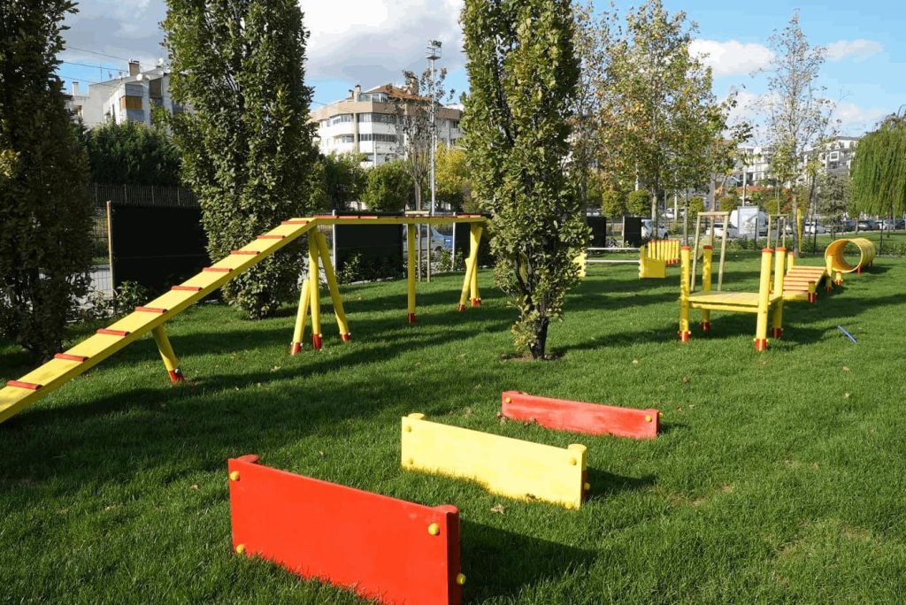 Ahmet Akın, Can Dostları Pati Park ile Buluşturdu