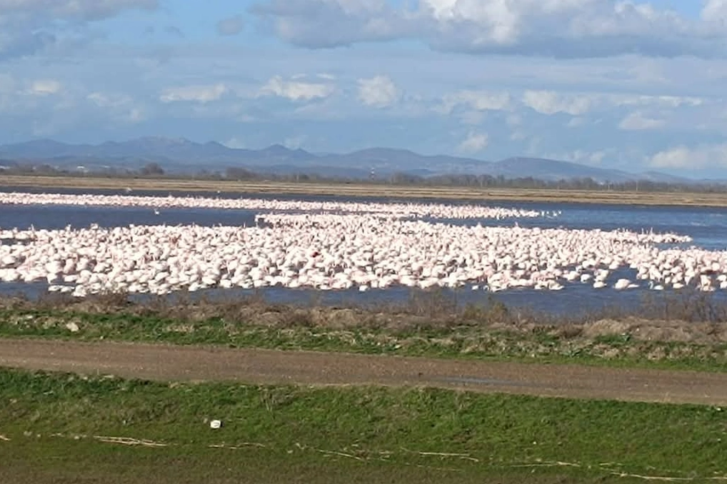 CHP’li Yazgan’dan TBMM’de Gala Gölü çağrısı!
