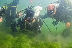 İzmit Körfezi’nde umut veren dalış… Başkan Büyükakın ve uzmanlar canlanan ekosisteme daldı