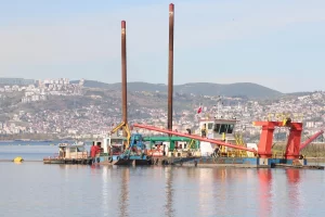 İzmit Körfezi yeniden nefes aldı… Temizlenen körfezde artık yunuslar dans ediyor