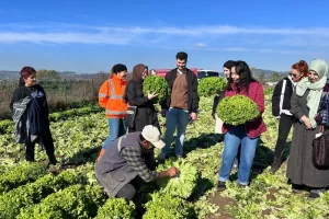 Kocaeli Büyükşehir’den aday çiftçilere uygulamalı tarım eğitimi