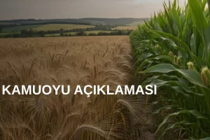 TMO’dan arpa ve mısır kontenjanlarıyla ilgili açıklama