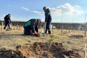 Kayseri Büyükşehir’den kentin yeşil alan varlığına destek