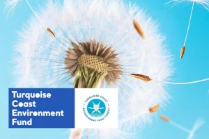 TCEF 2026 Hibe Programı’nda Türkiye’nin güney ve batı kıyılarına destek… Son başvuru 25 Ocak