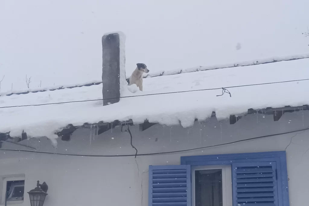 Bilecik Pazaryeri’nde kar altında kurtarma operasyonu