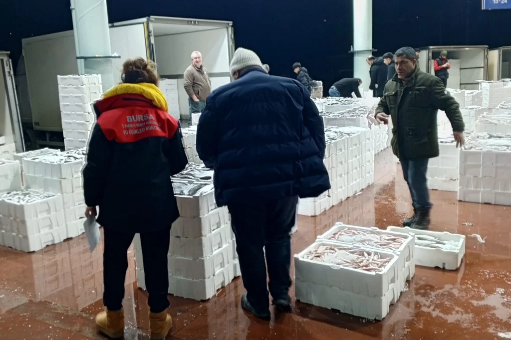 Bursa’da 150 kilogram tekir balığına el konuldu