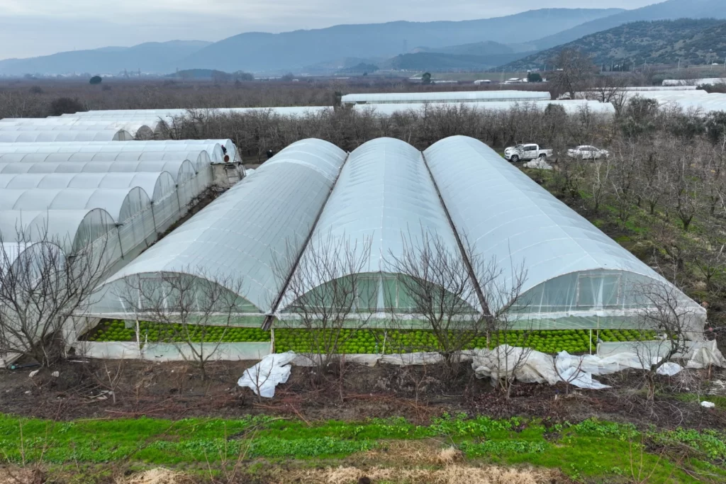 Bursa’da lodoszede seralara Büyükşehir desteği