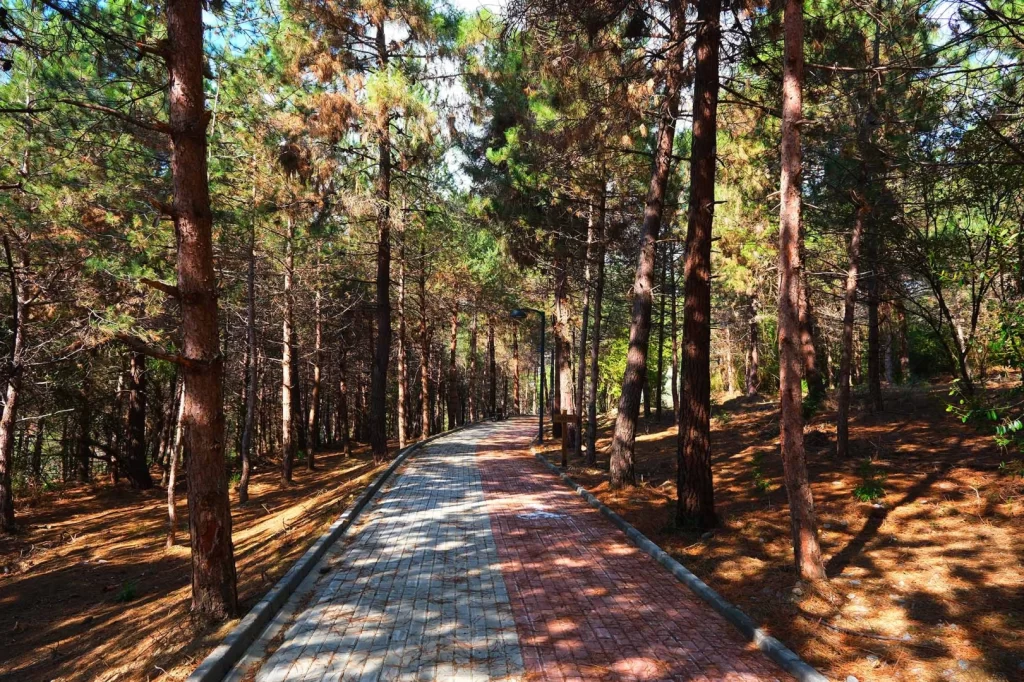 Sakarya’da Sapanca Gölü’nde huzur dolu yaşam alanı açıldı