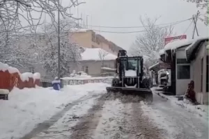 Tunceli, son 65 yılın en yoğun kar yağışıyla mücadele ediyor