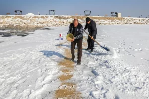Van’da kuşlar için doğaya yem bırakıldı