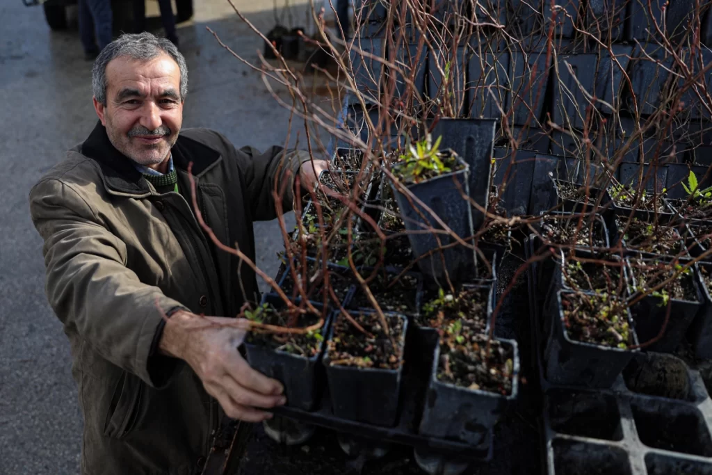 Bursa Büyükşehir’den kırsala fide ve fidan desteği sürüyor