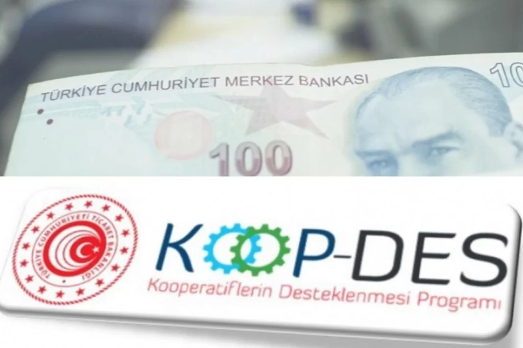 KOOP-DES Yönetmeliği’nde değişiklik Resmi Gazete’de