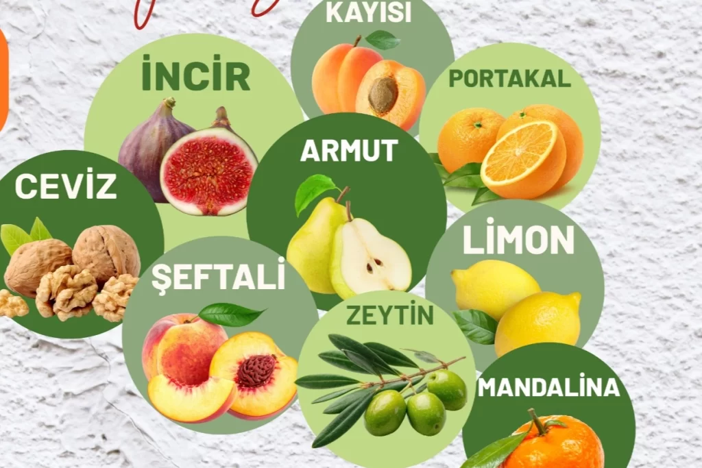 Muğla Milas’ta üreticilere fidan desteği sağlanacak