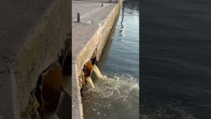 BANDIRMA SAHİLİNDE SU DEŞARJI İDDİASI: VATANDAŞLAR TEPKİLİ