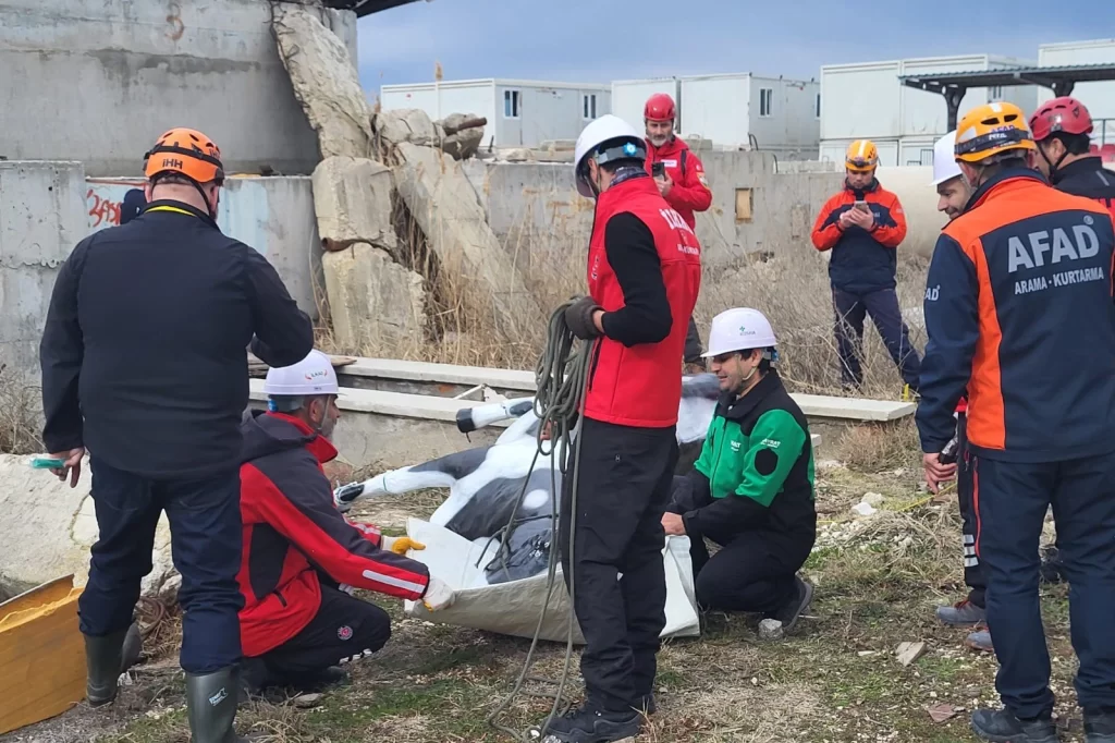 AFAD’dan uluslararası iş birliğiyle hayvan koruma projesi… RESQ-ANIMALS başladı