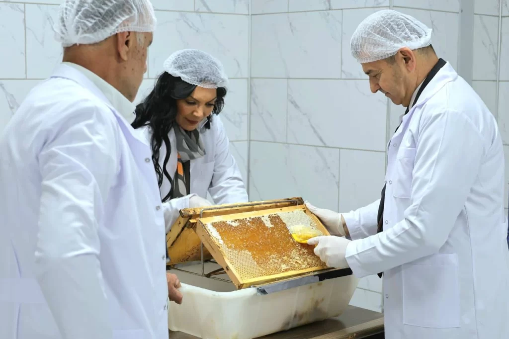 Artvin ‘Bal Çalıştayı’na hazırlanıyor