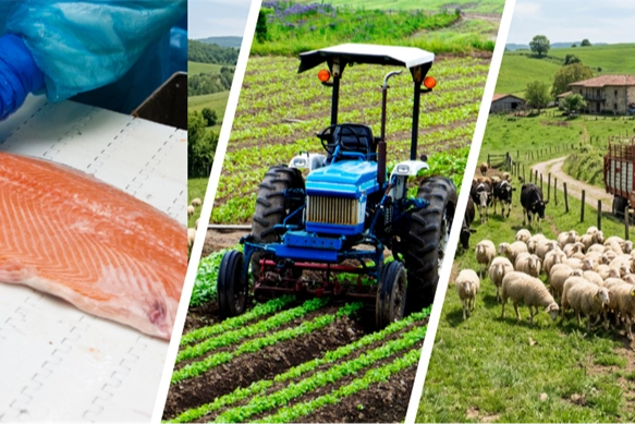 IPARD III’te yeni takvim açıklandı… Kırsala 241 milyon avroluk dev hibe