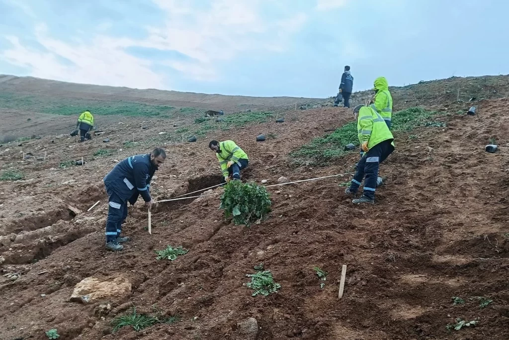 Kocaeli Gebze’de Büyükşehir’le yeşile dokunuş
