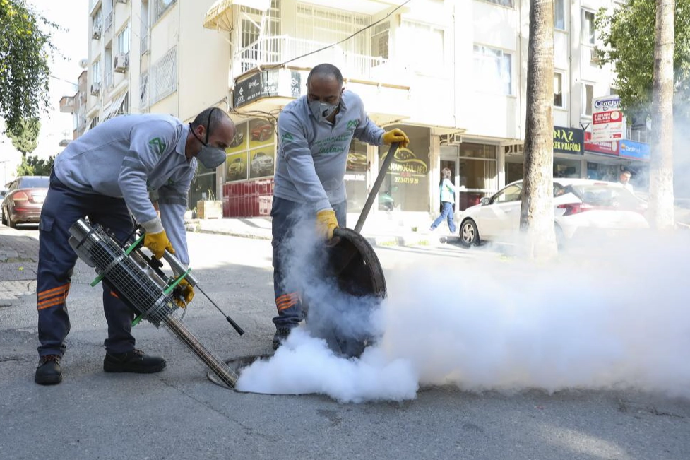 Mersin’de haşere alarmı