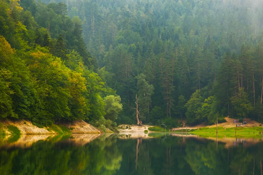 Doğa Koruma ve Milli Parklar’da yeni dönem… Yetkiler artırıldı, cezalar yükseltildi
