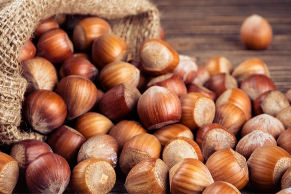 TMO’dan ‘kabuklu fındık’ açıklaması: Satışımız ve hazırlığımız bulunmamaktadır