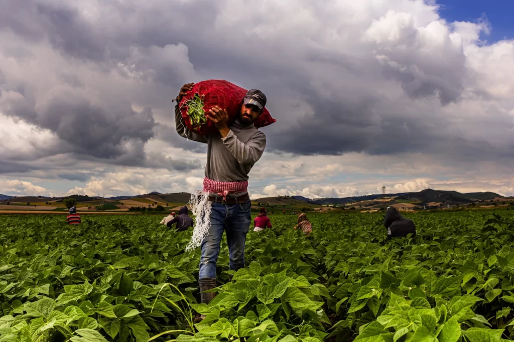 Bursa Yenişehir’de tarımı geliştiren, sanayi ve ticareti büyüten anlayış hakim