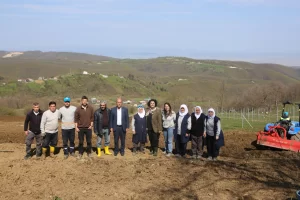 Bursa Nilüfer’de atıl araziler bereketleniyor
