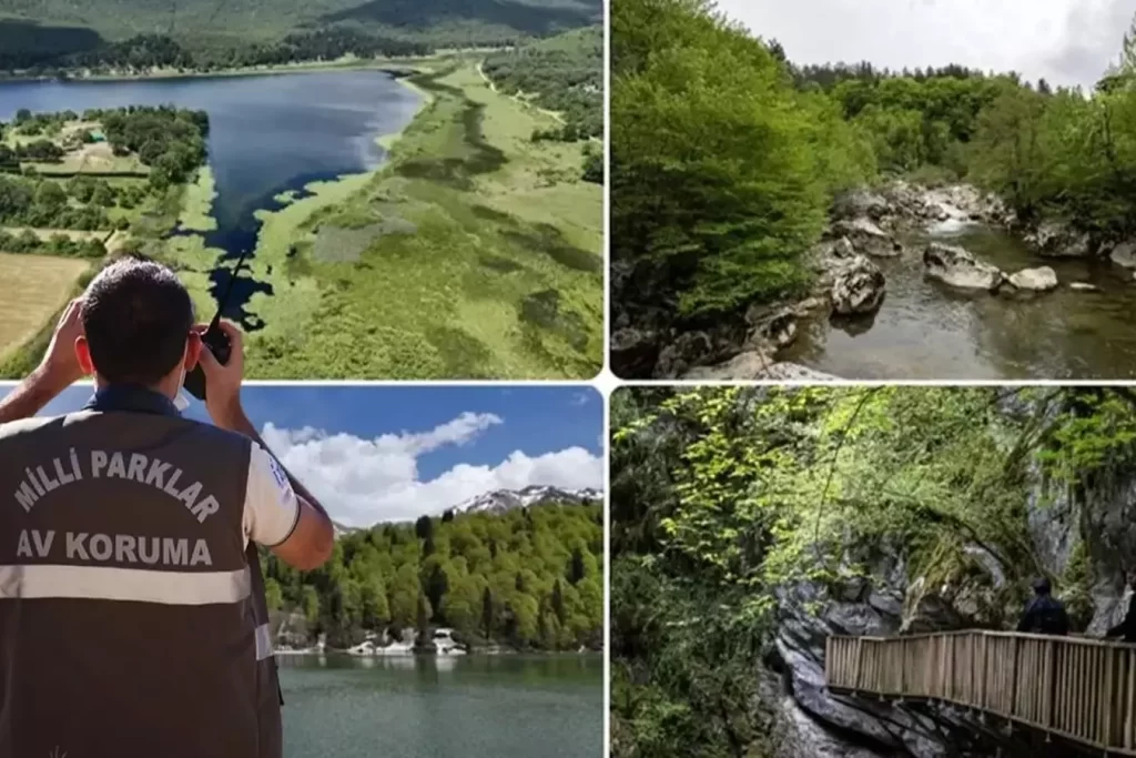 Doğa Koruma ve Milli Parklar Uzmanlığı için ‘tez’ zorunluluğu
