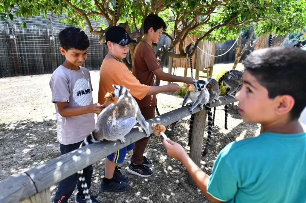 İzmir’de Doğal Yaşam Parkı öğrencilere ücretsiz olacak