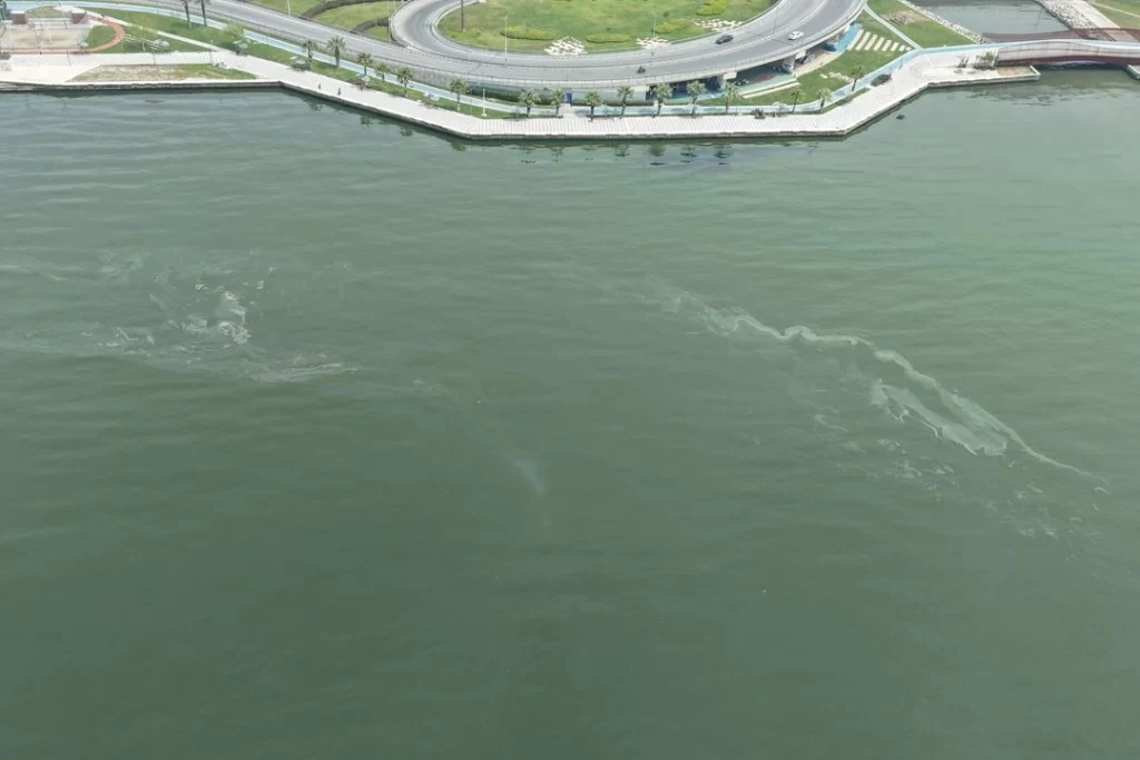 İzmir Körfezi’nde kirlilikte 10’uncu tespit