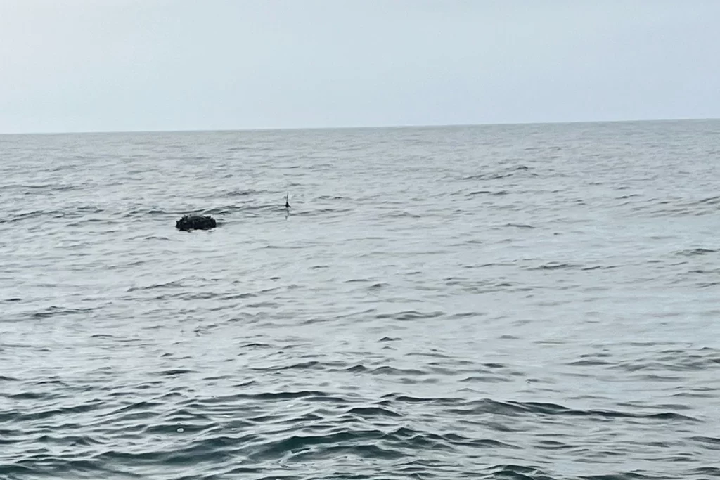 Karadeniz’deki şüpheli mayın SAS timlerince imha edildi!