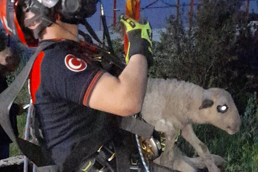 Kuyuya düşen kuzuya İzmir İtfaiyesi’nden nefes kesen kurtarma