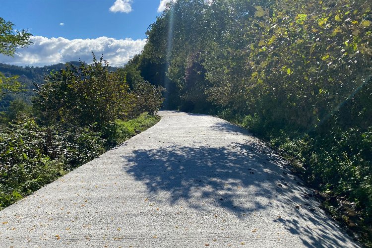 Perşembe’de ulaşım seferberliği