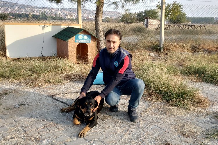 Manisa’da sokakta bir can daha yeni yuvasına kavuştu