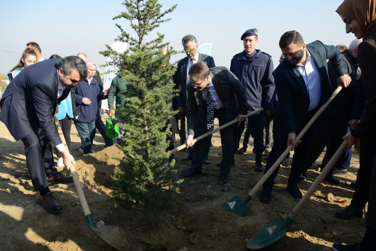Bursa Yıldırım’da 250 fidan toprakla buluştu