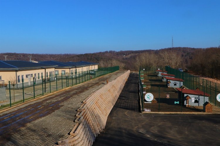 İstanbul Beykoz Hayvan Rehabilitasyon Merkezi’nde 5 yıldızlı konfor
