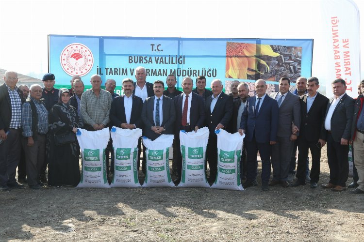 Bursa’da tarlalar tohum desteğiyle yeşeriyor